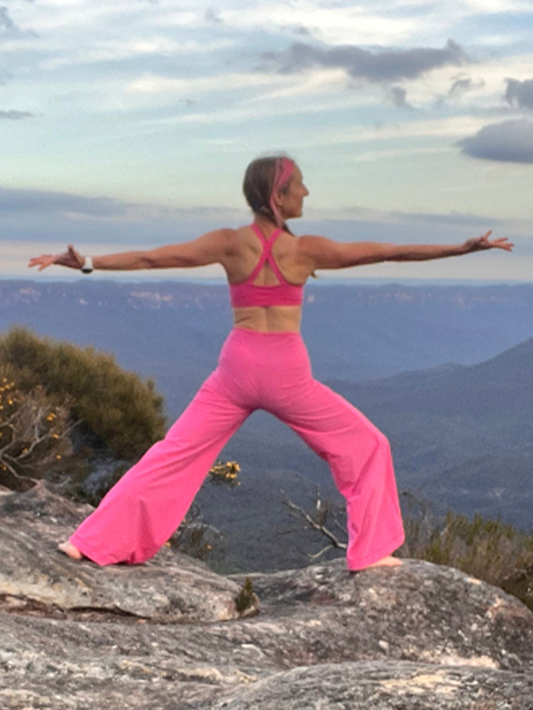 Pink Bio 1976 Flares